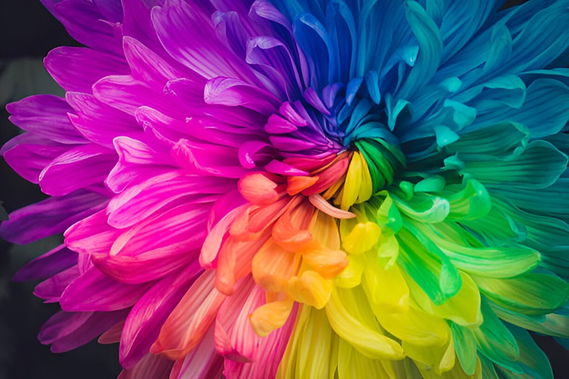 Colors Vastu How to Choose the Best Colors for Your Home by Dr. Aditya Shastri, the Best Vastu Specialist in Mumbai, India.