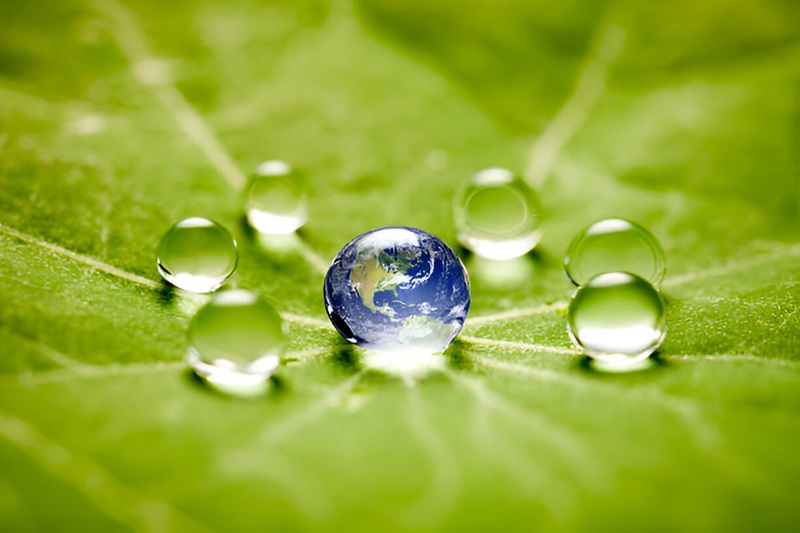 Element of Water and Earth by Dr. Aditya Shastri, the Best Astrologer in Mumbai, India.