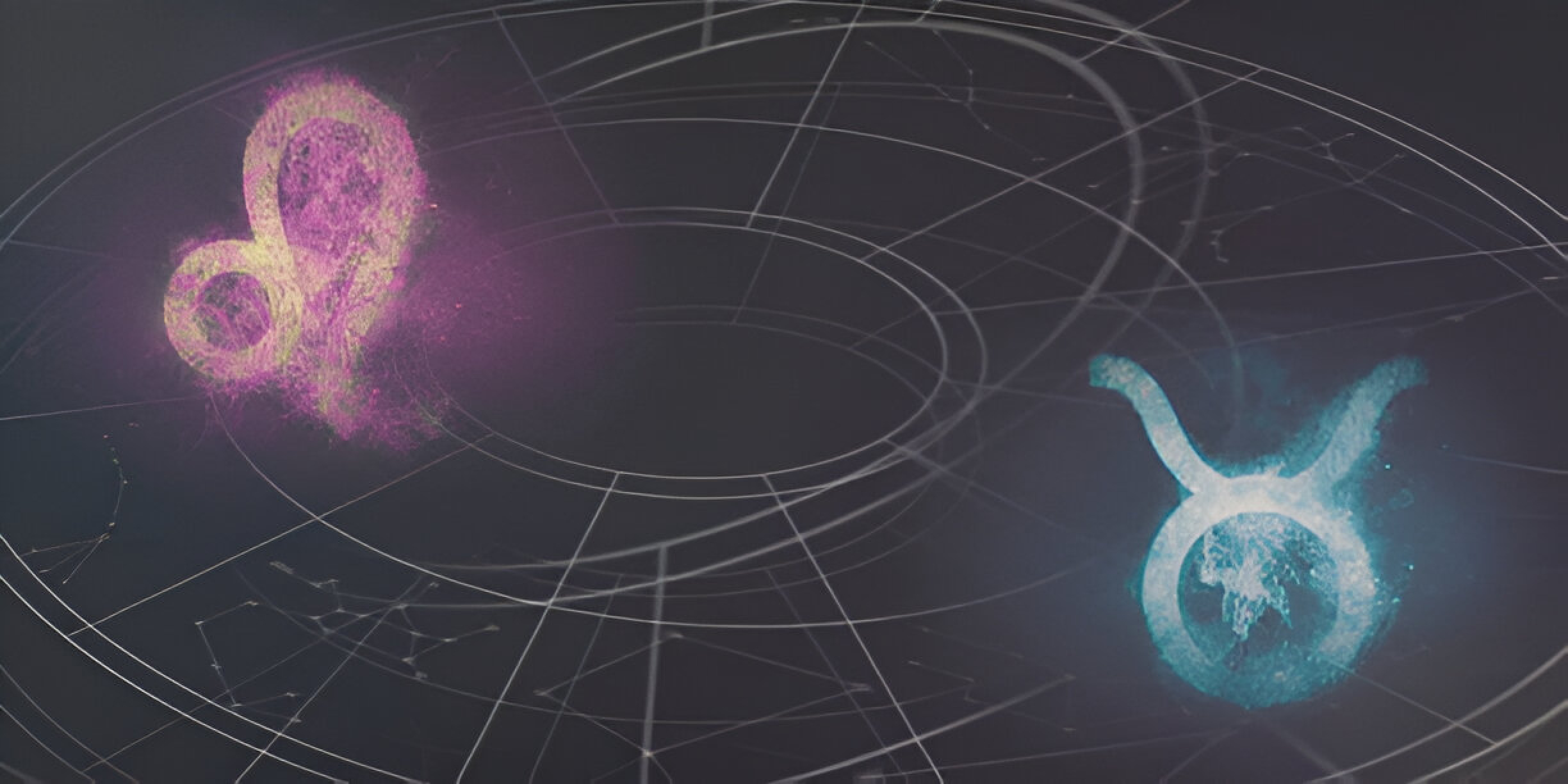 Leo and Taurus Compatibility by Dr. Aditya Shastri, Best Horoscope Specialist in Mumbai, India.
